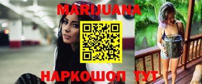 крисы Кунгур