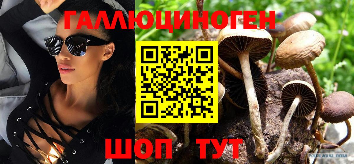 Десногорск  Псилоцибиновые грибы Magic Shrooms  наркошоп  Вход с VPN 